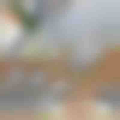 Feliator multifuncțional pentru legume | SLICEIEST (4 lame GRATUITE)