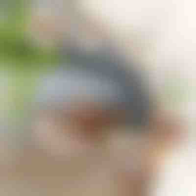 Jucărie interactivă pasăre care bate din aripi | CHIRRCAT